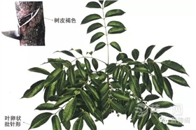 漆強油漆學(xué)堂講解.jpg